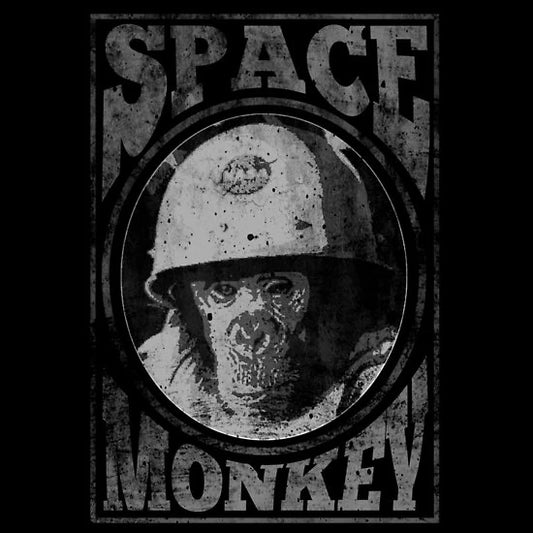 Project Mayhem ve Space Monkey Nedir?
